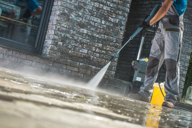 Boat and Dock Cleaning in Shingletown, CA